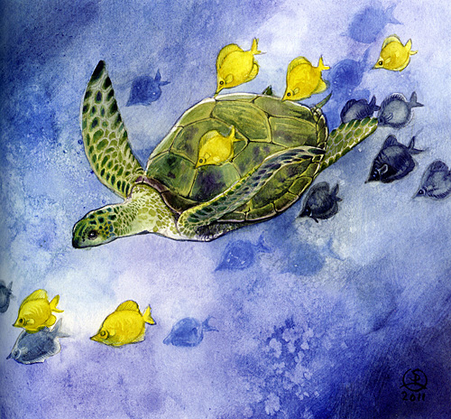 Sea Turtle